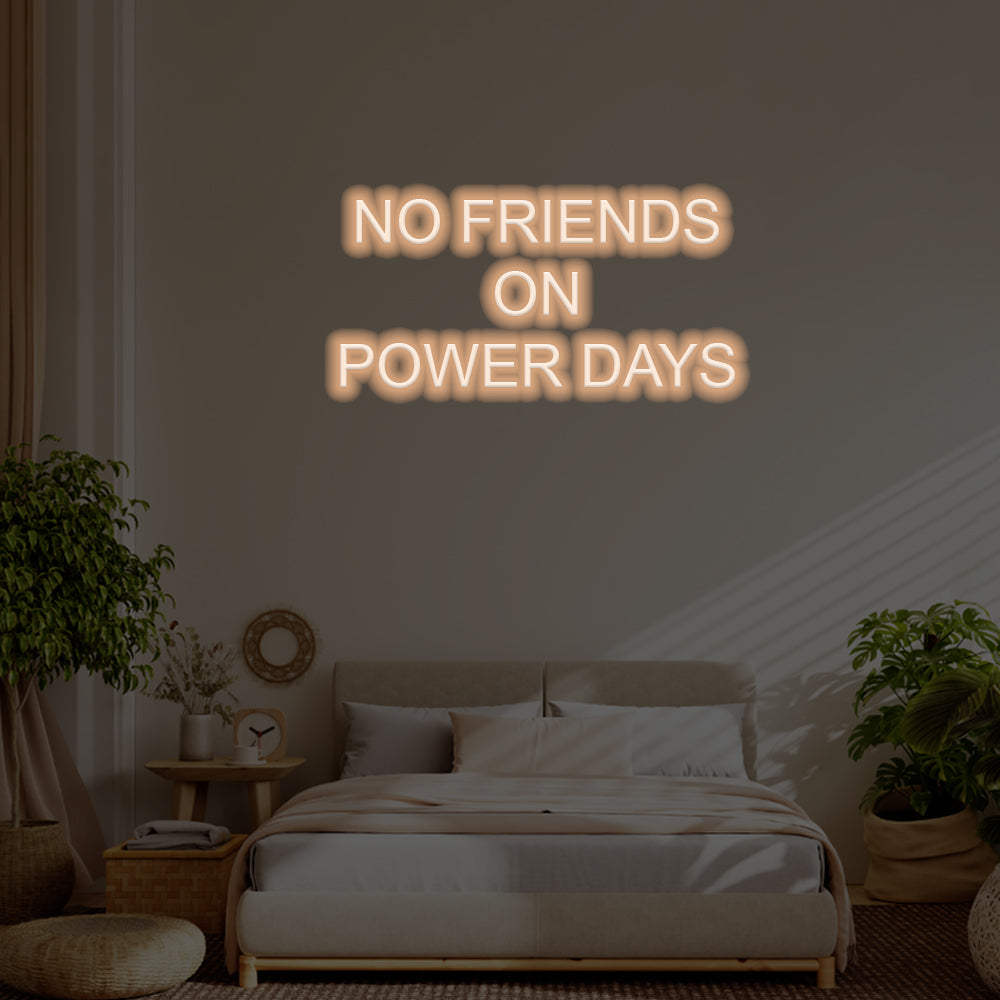 No Friends On Powder Day LED Neon Sign – Perfect Funny Decor